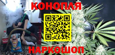 шишки Берёзовский