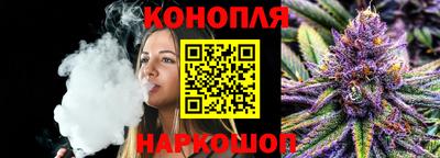 сатива Бийск
