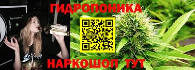шишки Берёзовский