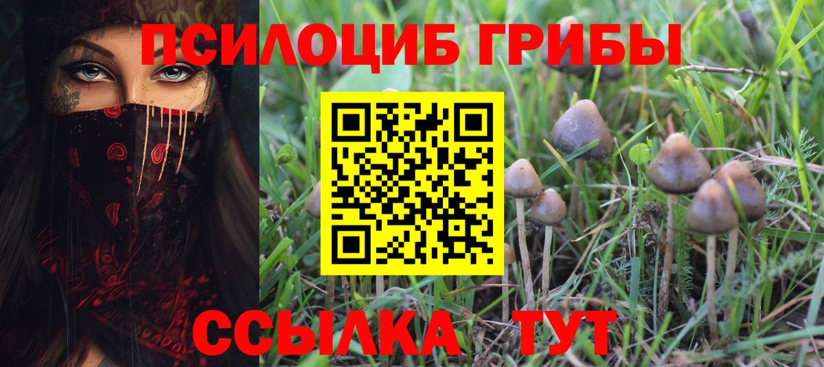 Псилоцибиновые грибы MAGIC MUSHROOMS  Псилоцибиновые грибы Magic Shrooms  Вход с VPN  Камень-на-Оби 
