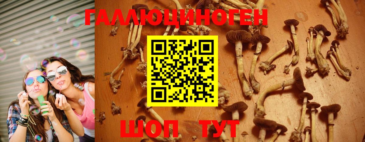 Галлюциногенные грибы Magic Shrooms Камень-на-Оби